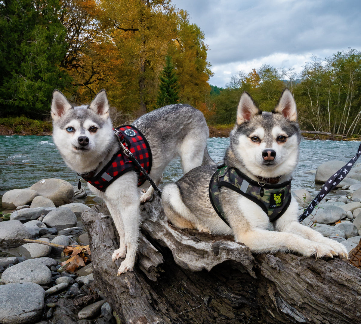 EcoBark Step In Dog Harness - XXXS to Small Breeds- Reflective Soft Mesh Harness for Teacup, Small Dogs and Puppies / Camouflage