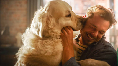 Decoding Your Dog: Understanding Canine Behavior and Building an Unbreakable Bond