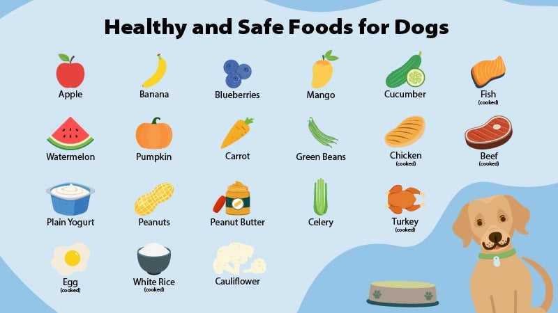 Understanding Pet Nutrition: A Guide to Feeding Your Pets Right