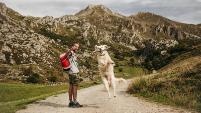 10 Best Outdoor Adventures to Enjoy With Your Dog in 2026