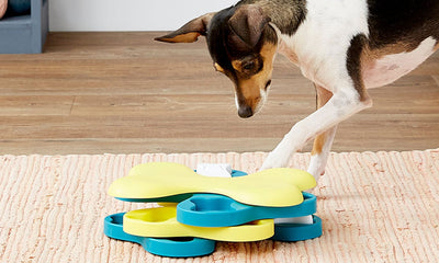 How to Choose the Perfect Toys and Treats for Your Pet: A Complete Buying Guide