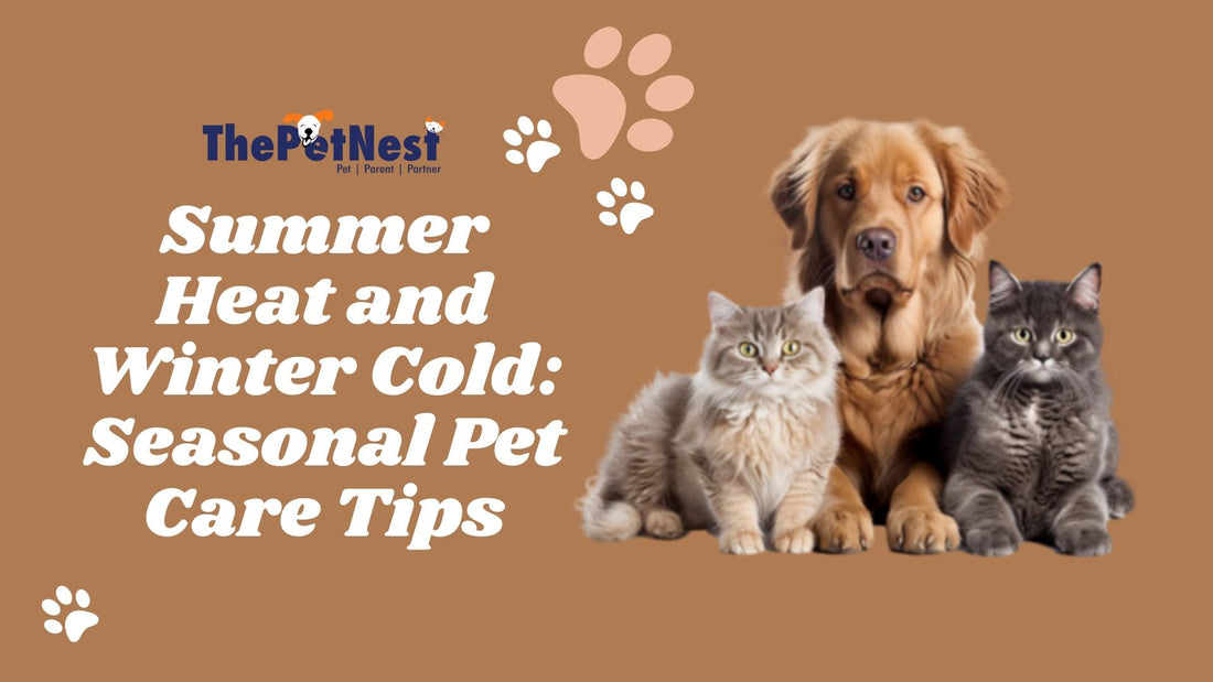 Seasonal Pet Care: Keeping Your Furry Friends Comfortable Year-Round