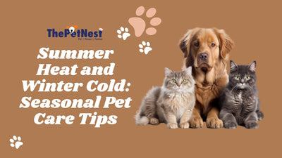 Seasonal Pet Care: Keeping Your Furry Friends Comfortable Year-Round
