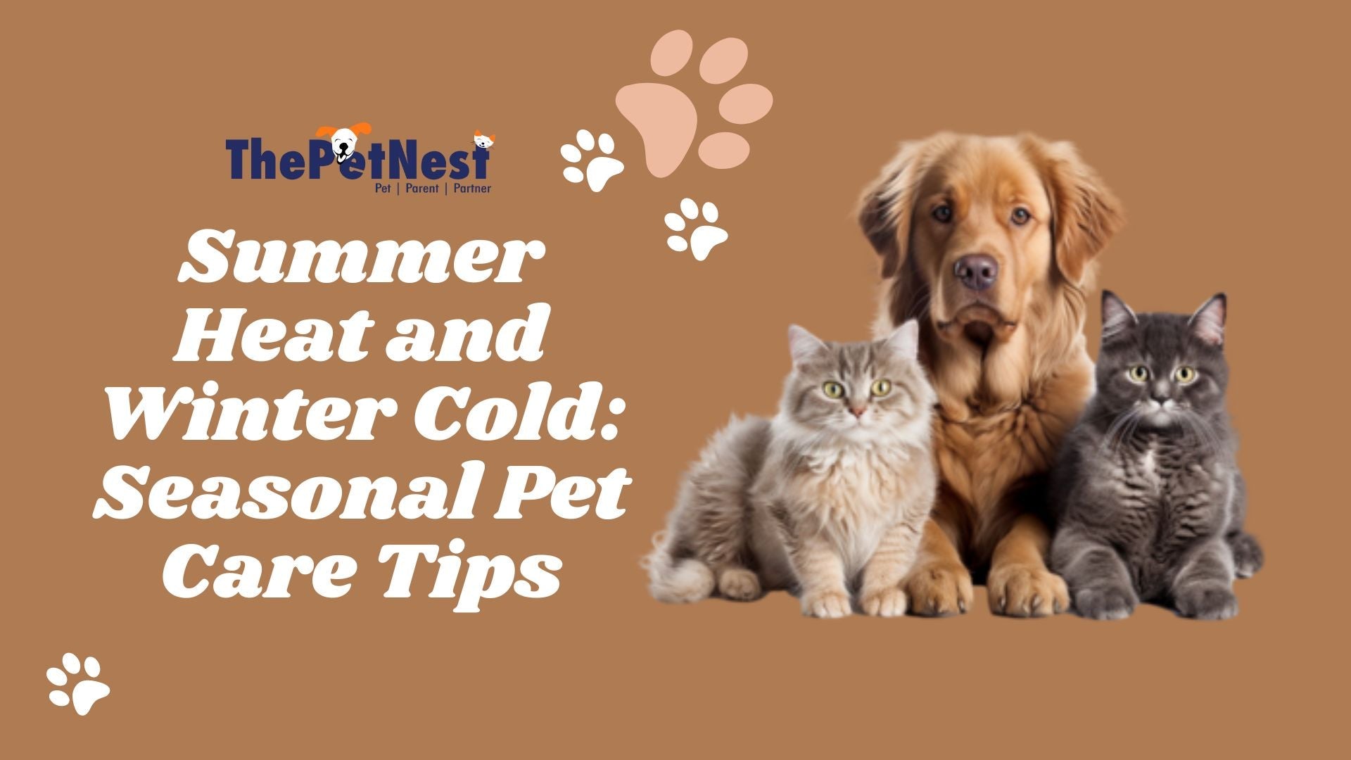 Seasonal Pet Care: Keeping Your Furry Friends Comfortable Year-Round