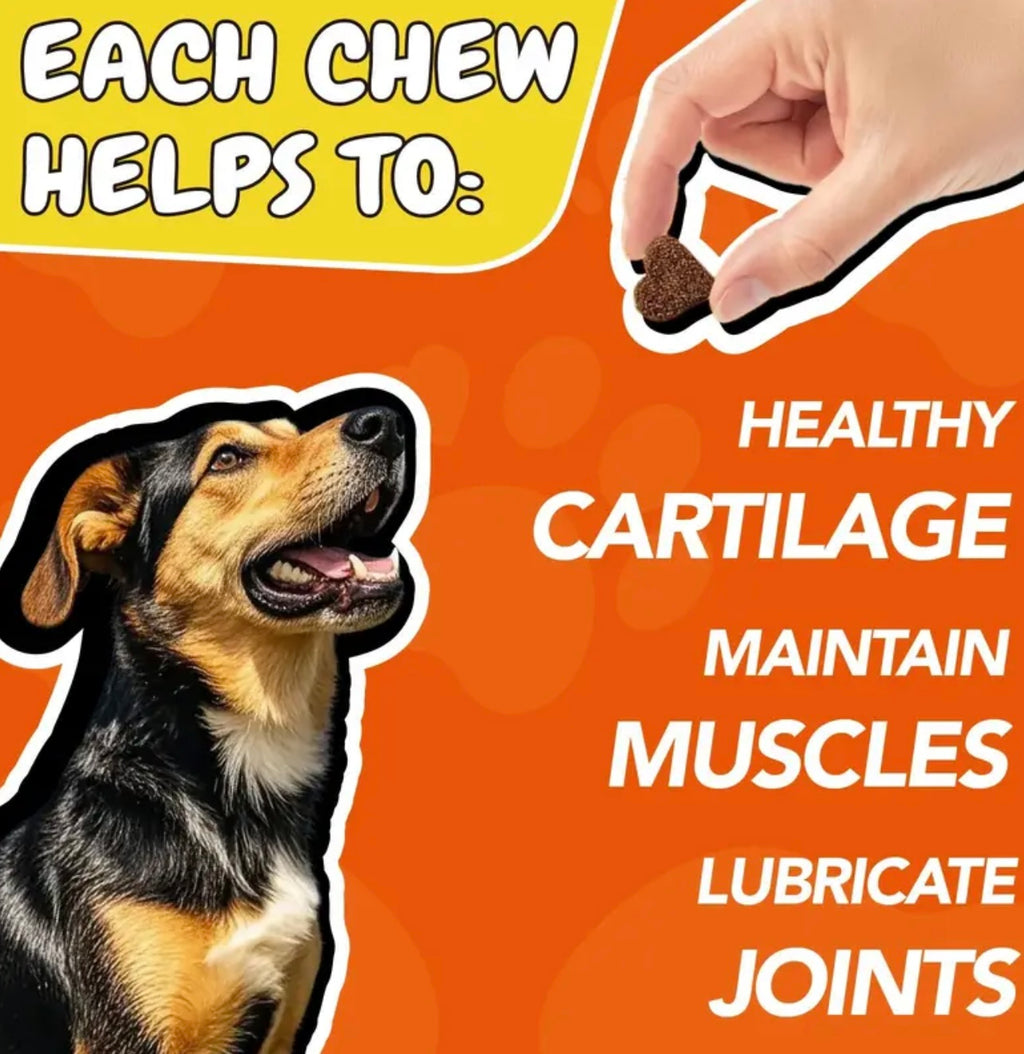 [90 Days Supply] Joint Care Chews for Dogs & Cats | Glucosamine, Chondroitin, Alaskan Salmon Oil | Joints, Mobility, Cartilage & Connective Health | 90 Soft Chews, Chicken Flavor