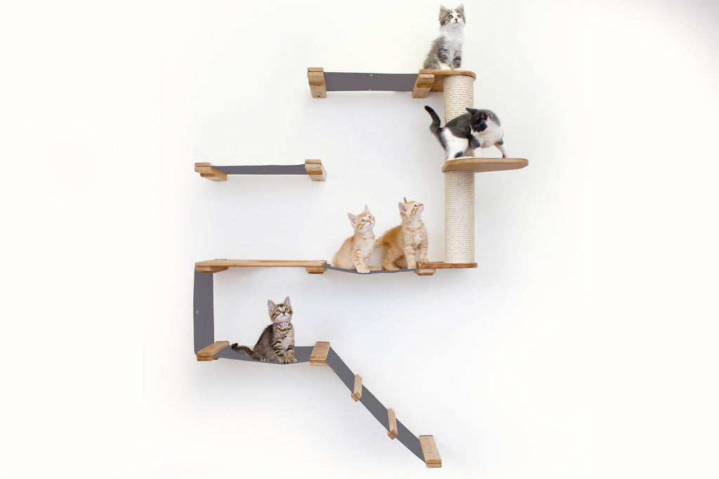 The Deluxe Cat Fort - Modern Cat Condo