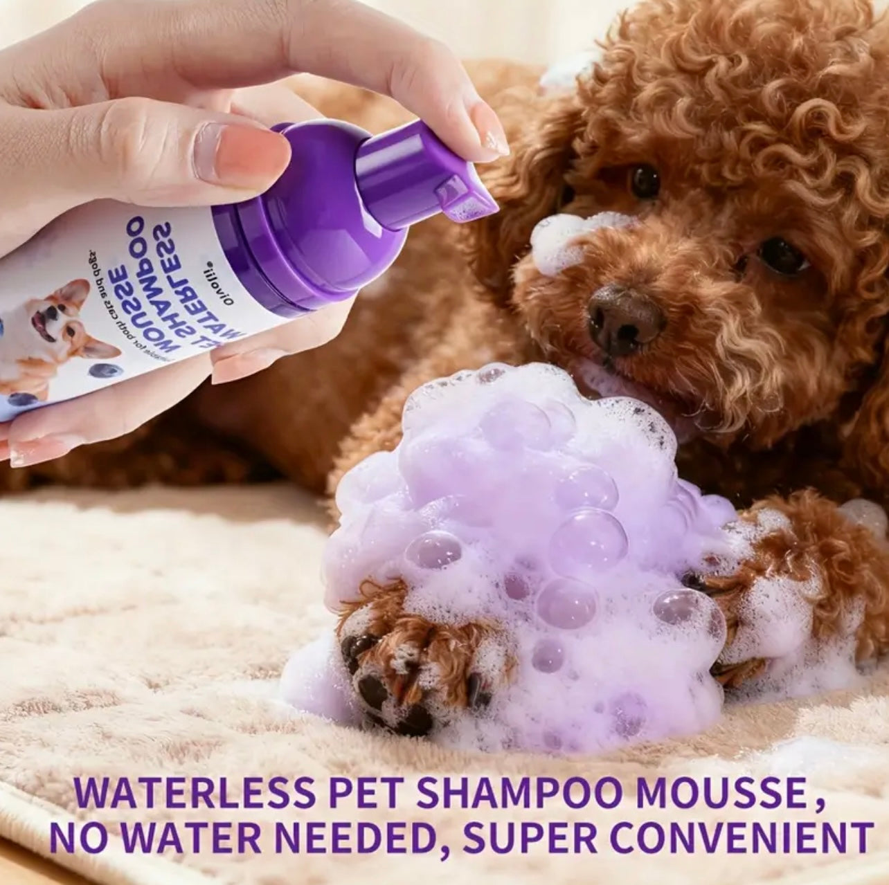 Pet-Friendly No-Rinse Animal Shampoo, 3-Minute No-Rinse Blueberry Pet Shampoo