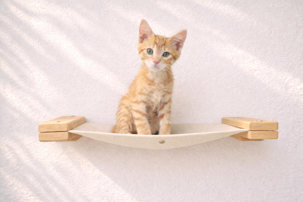 Hanging Cat Bed Hammock