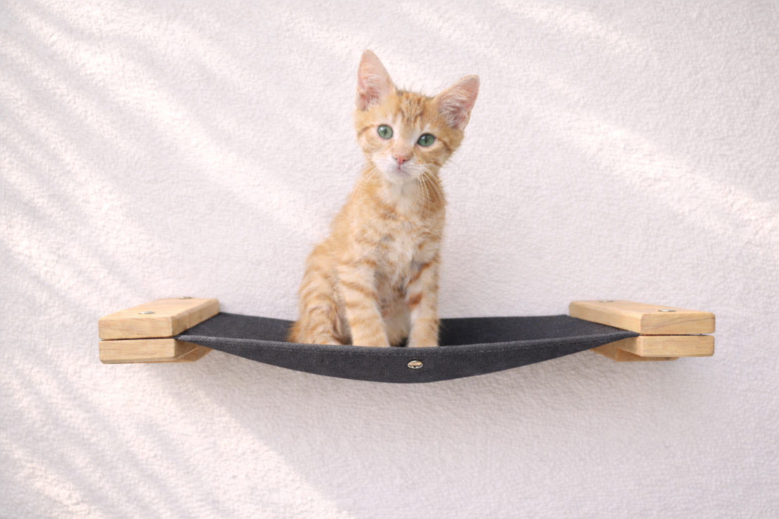 Hanging Cat Bed Hammock