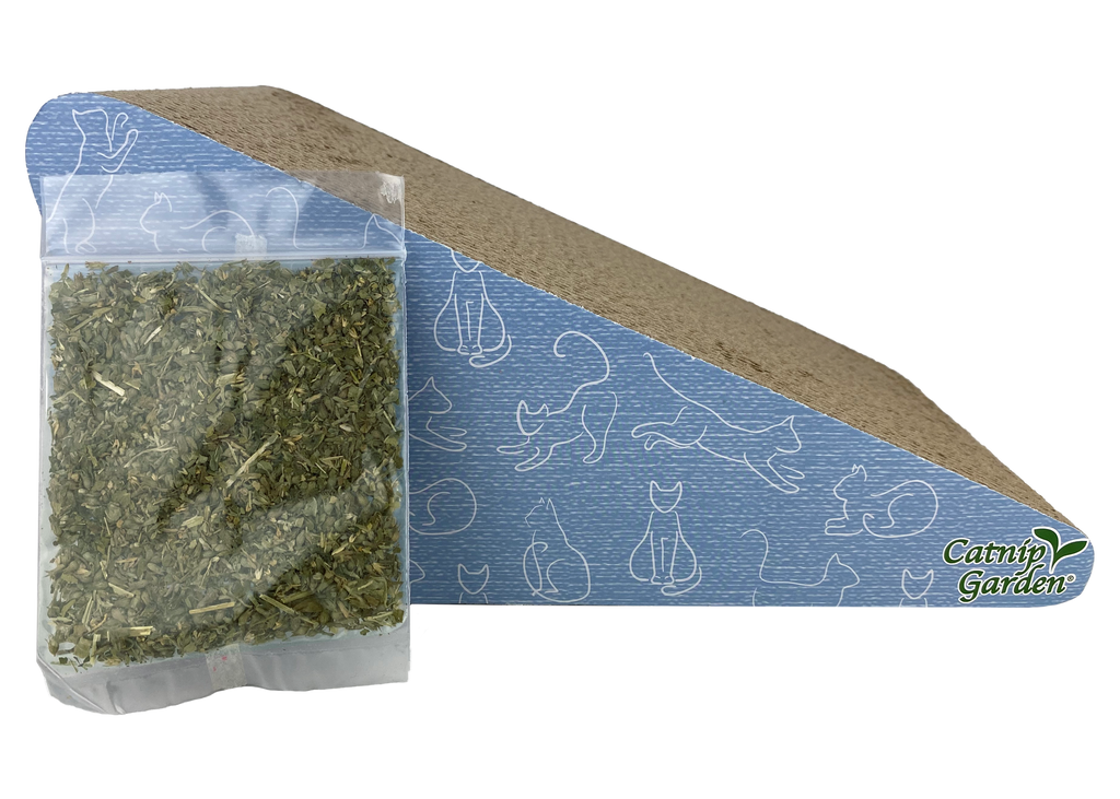 Multipet Catnip Garden®  Scratcher w/ Catnip