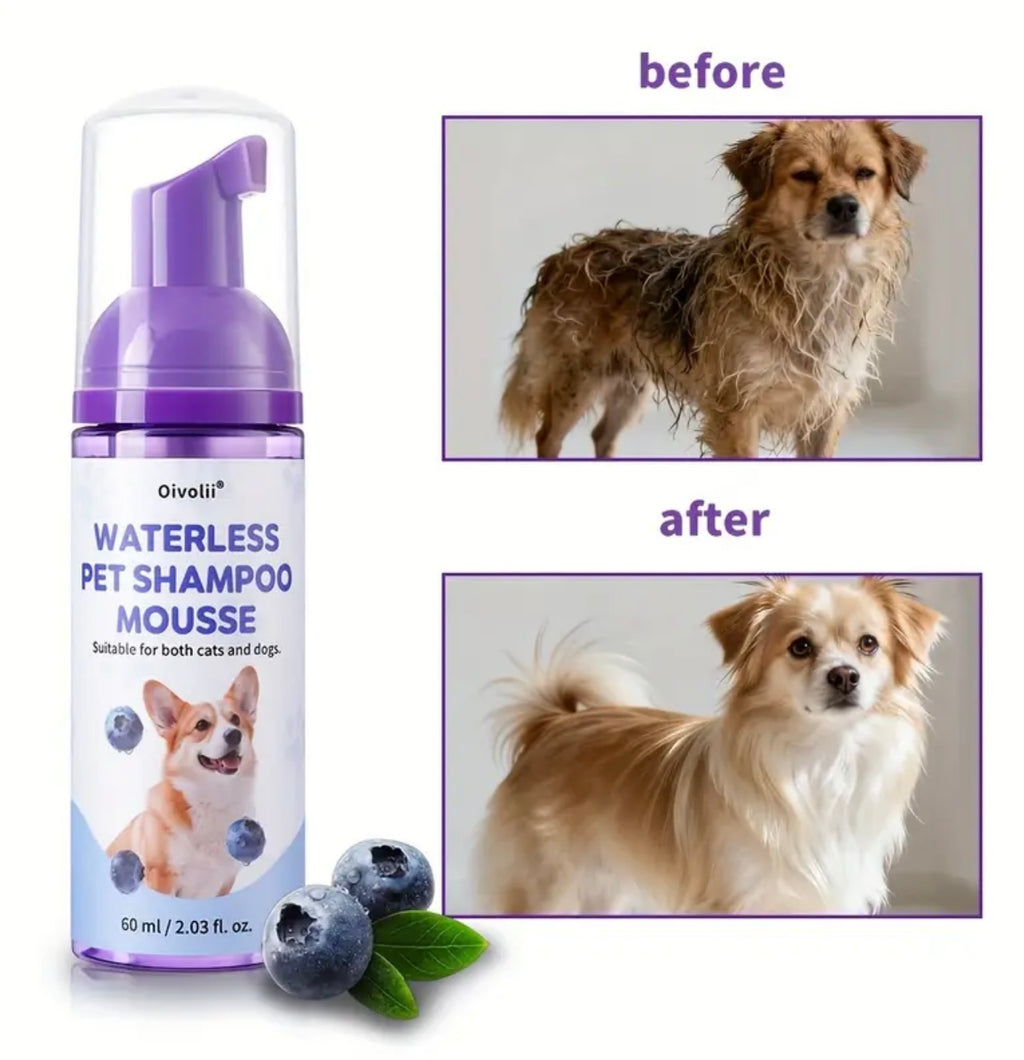Pet-Friendly No-Rinse Animal Shampoo, 3-Minute No-Rinse Blueberry Pet Shampoo