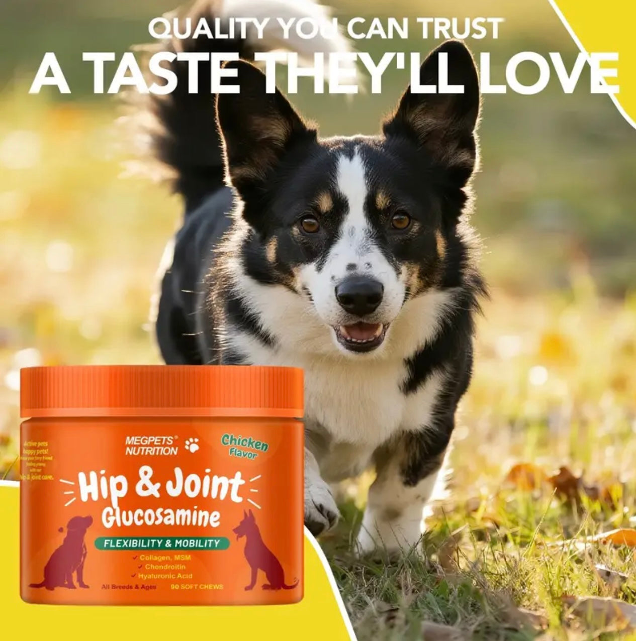 [90 Days Supply] Joint Care Chews for Dogs & Cats | Glucosamine, Chondroitin, Alaskan Salmon Oil | Joints, Mobility, Cartilage & Connective Health | 90 Soft Chews, Chicken Flavor