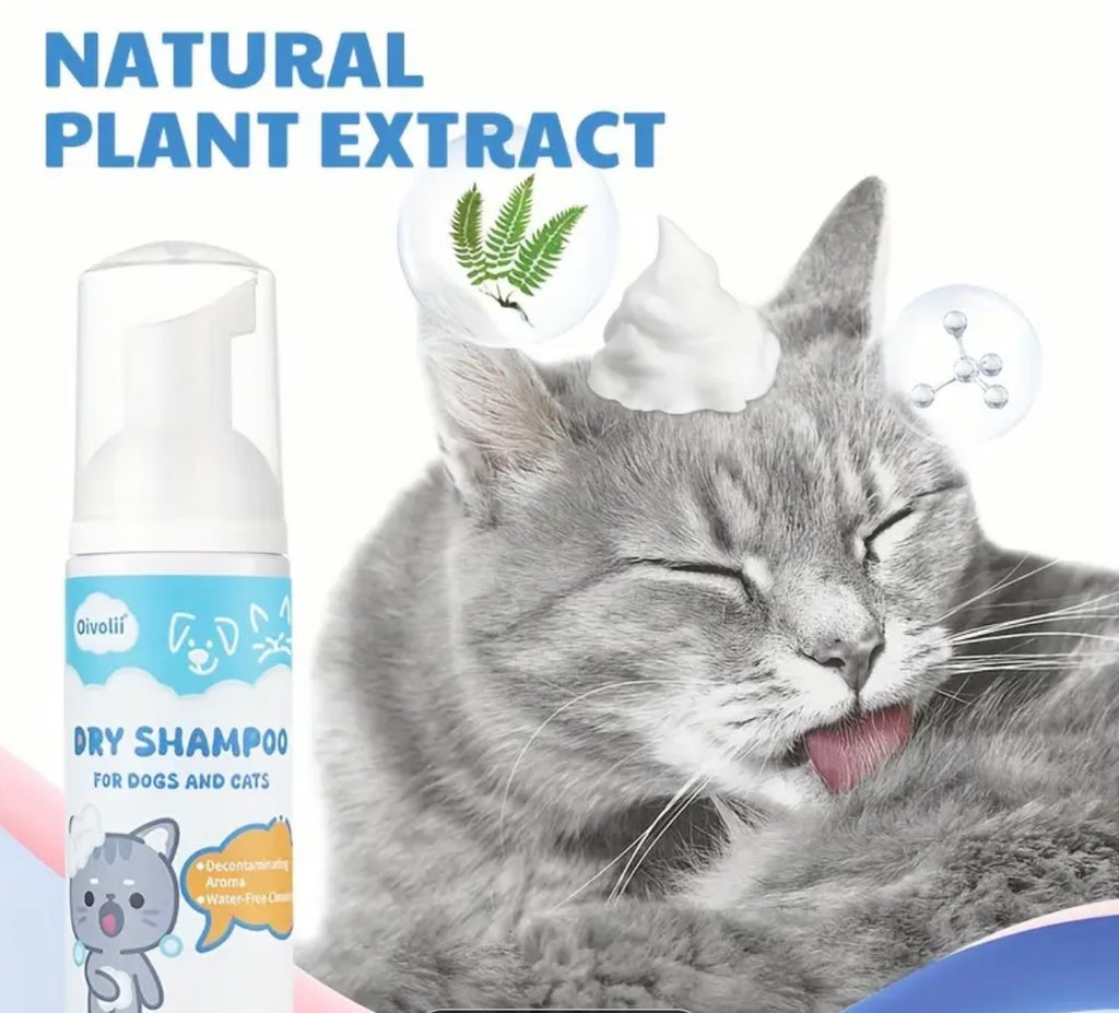 1 pc Oivolli Pet Dry Hair Care