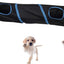 iCAGY Cat Tunnel for Indoor Cats Interactive, Rabbit Tunnel Toys, Pet Toys Play Tunnels for Cats Kittens Rabbits Puppies Crinkle Pop Up Black 45"