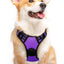 Eagloo Dog Harness Medium Sized Dog, No Pull Service Vest with Reflective Strips and Control Handle, Adjustable and Comfortable for Easy Walking, No Choke Pet Harness with 2 Metal Rings, Purple, M