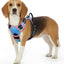 Eagloo Dog Harness Small Sized Dog, No Pull Service Vest with Reflective Strips and Control Handle, Adjustable and Comfortable for Walking, No Choke Pet Harness with 2 Metal Rings, Pink & Blue, S