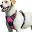 Eagloo Dog Harness for Large Dogs, No Pull Service Vest with Reflective Strips and Control Handle, Adjustable and Comfortable for Easy Walking, No Choke Pet Harness with 2 Metal Rings, Rose Red, L