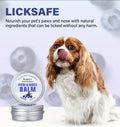 Blueberry-Infused Pet Paw Balm for Dogs & Cats - 2oz, Moisturizing & Soothing, Quick Absorption, Non-Greasy Formula