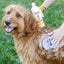 Dog Shampoo (Mango Scent)