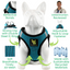 EcoBark Step In Dog Harness - XXXS to Small Breeds- Reflective Soft Mesh Harness for Teacup, Small Dogs and Puppies / Aqua Sport