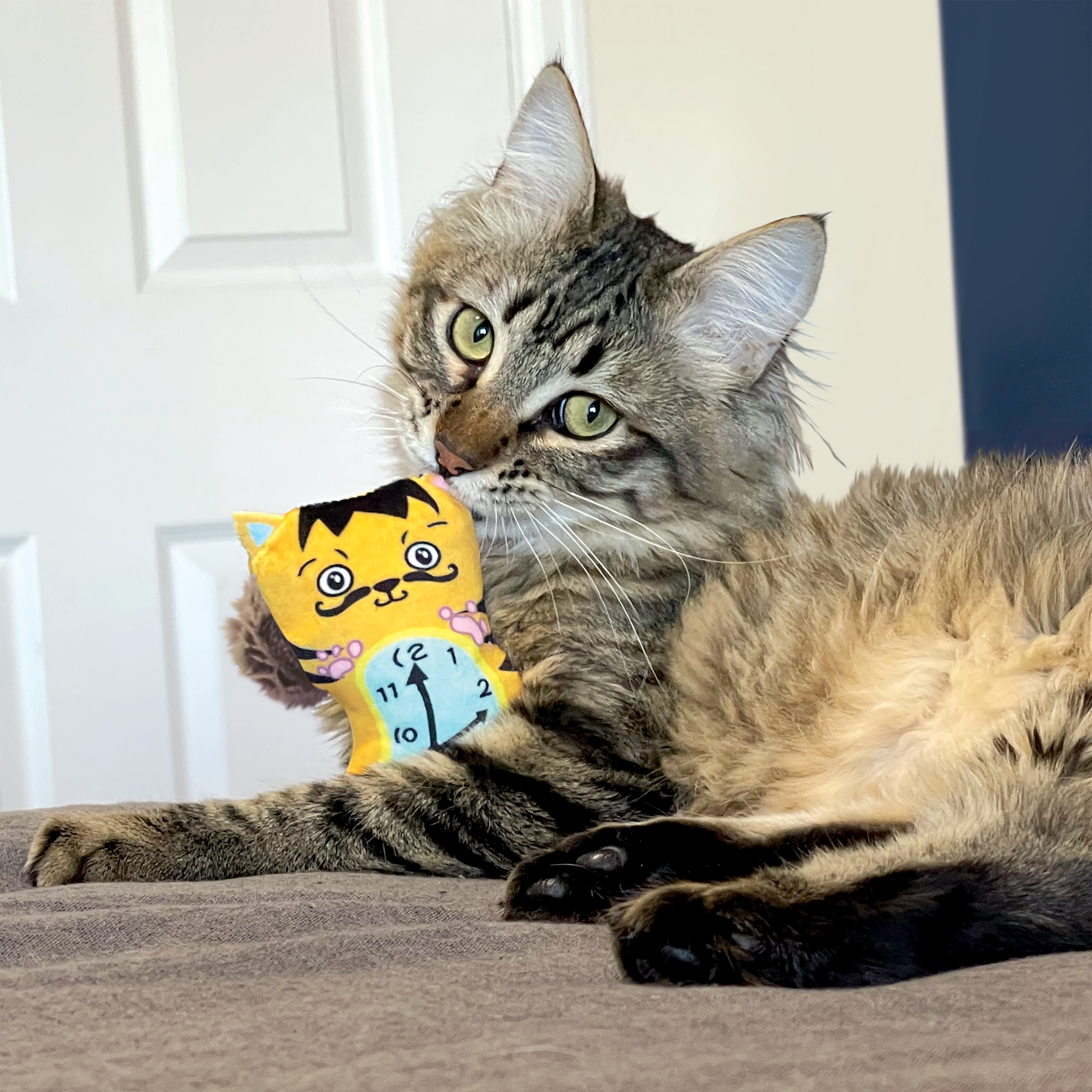 Kong Cat Artz Dali / van Gogh (2pk)