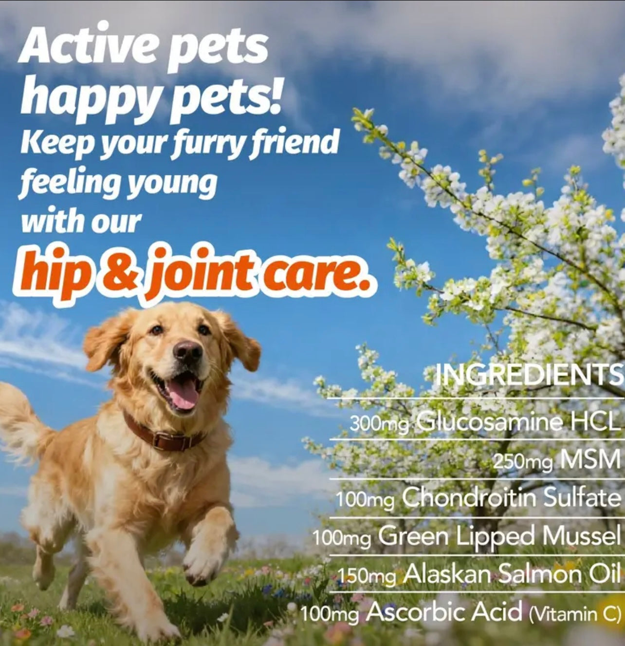 [90 Days Supply] Joint Care Chews for Dogs & Cats | Glucosamine, Chondroitin, Alaskan Salmon Oil | Joints, Mobility, Cartilage & Connective Health | 90 Soft Chews, Chicken Flavor