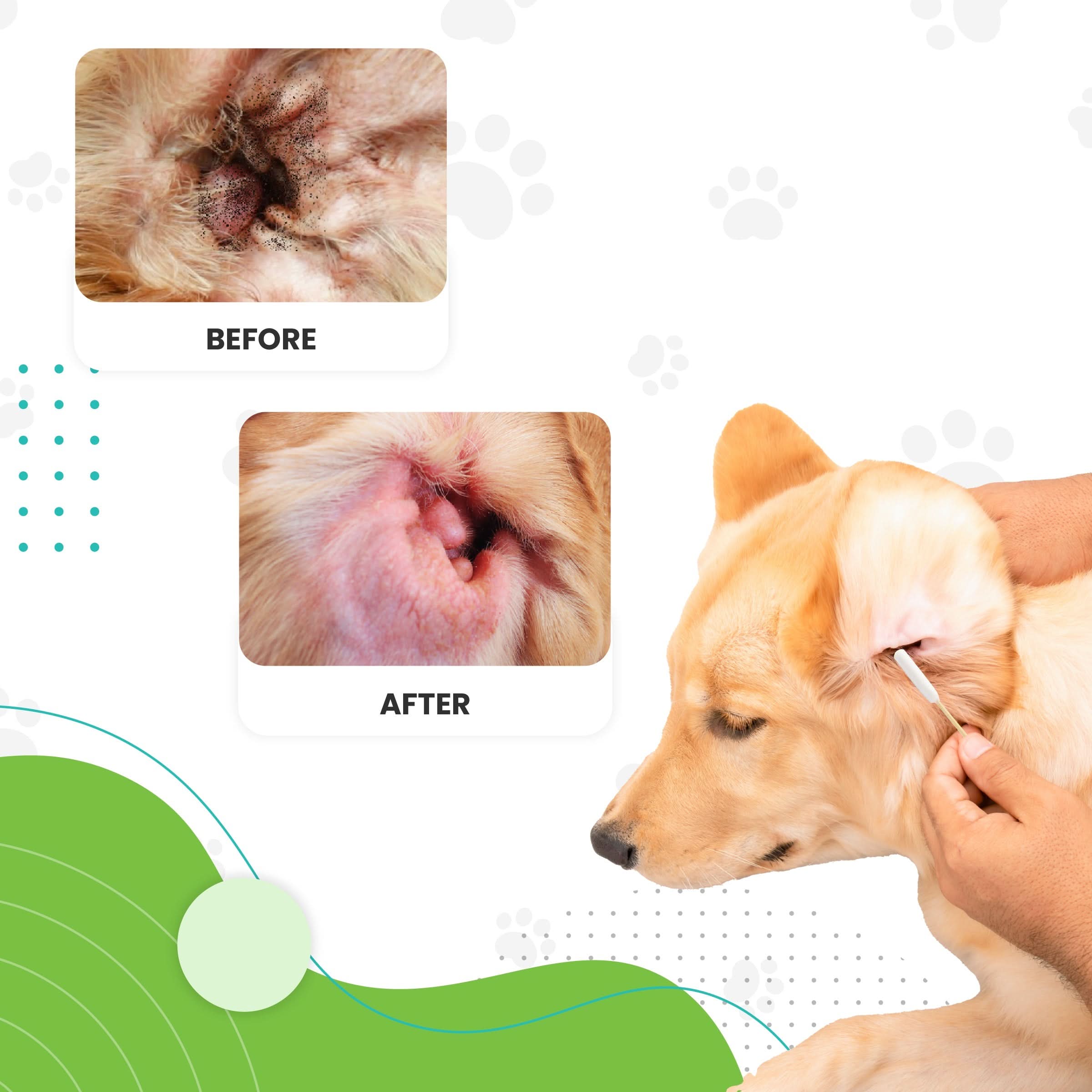 Dog Ear Swabs