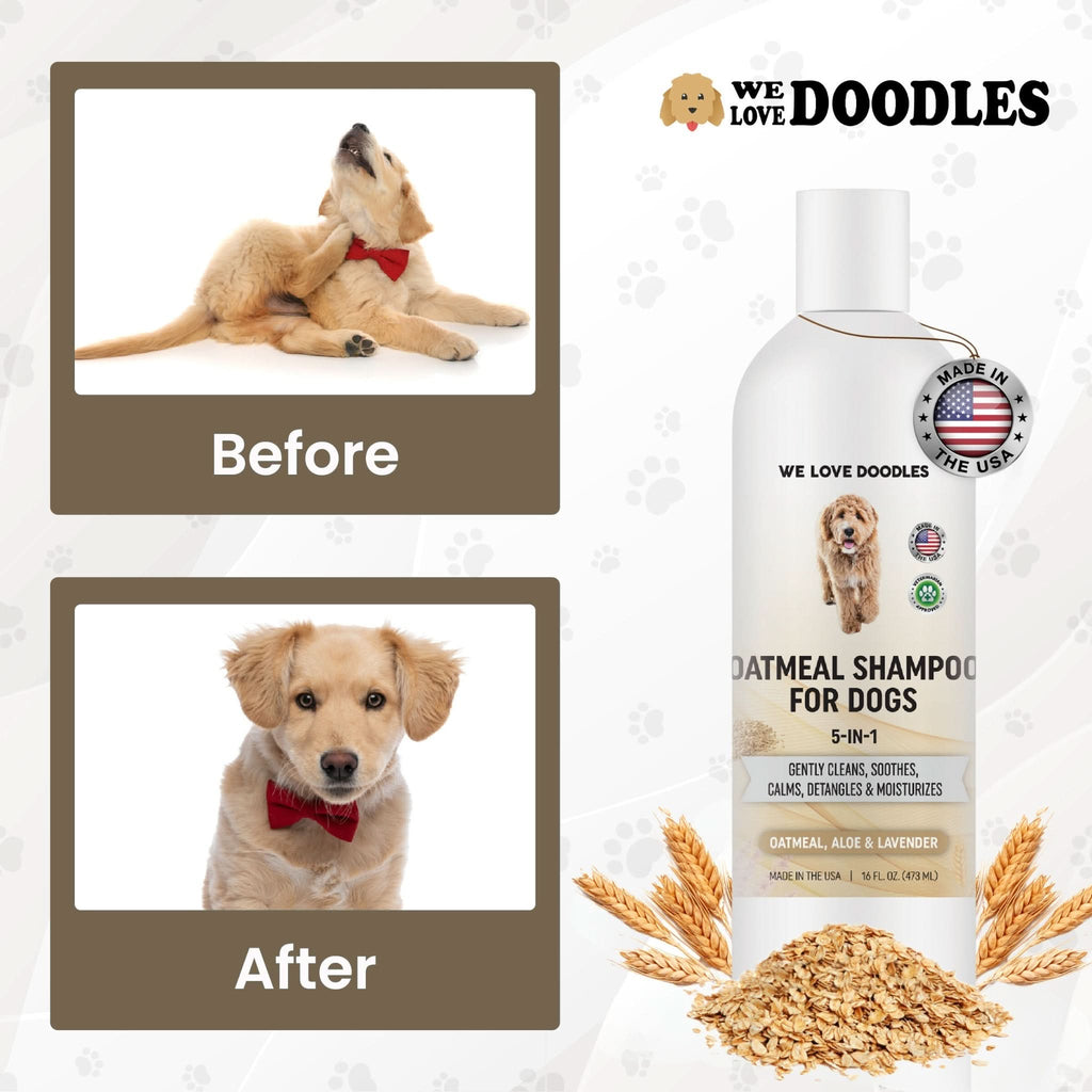 Premium Oatmeal Dog Shampoo
