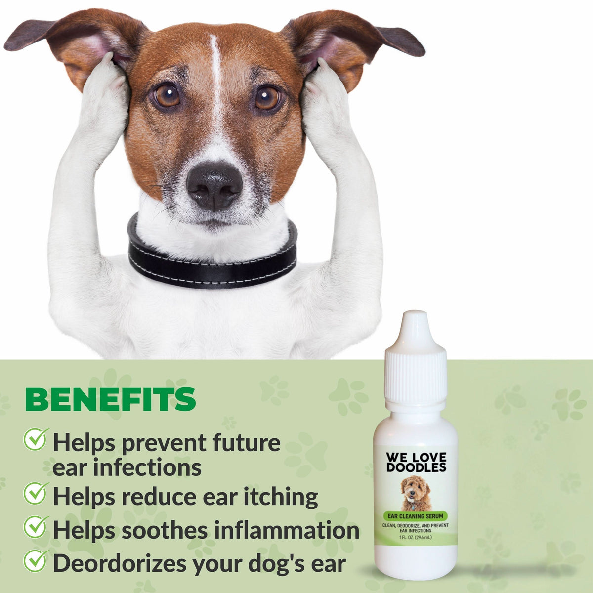 Dog Ear Serum Kit