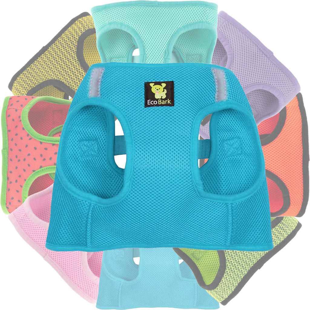 EcoBark Step In Dog Harness - XXXS to Small Breeds- Reflective Soft Mesh Harness for Teacup, Small Dogs and Puppies / Sky Blue