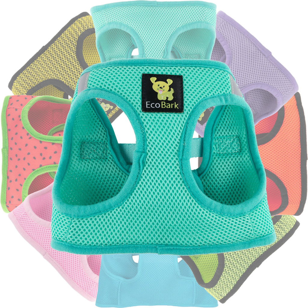 EcoBark Step In Dog Harness - XXXS to Small Breeds- Reflective Soft Mesh Harness for Teacup, Small Dogs and Puppies / Mint Turquoise