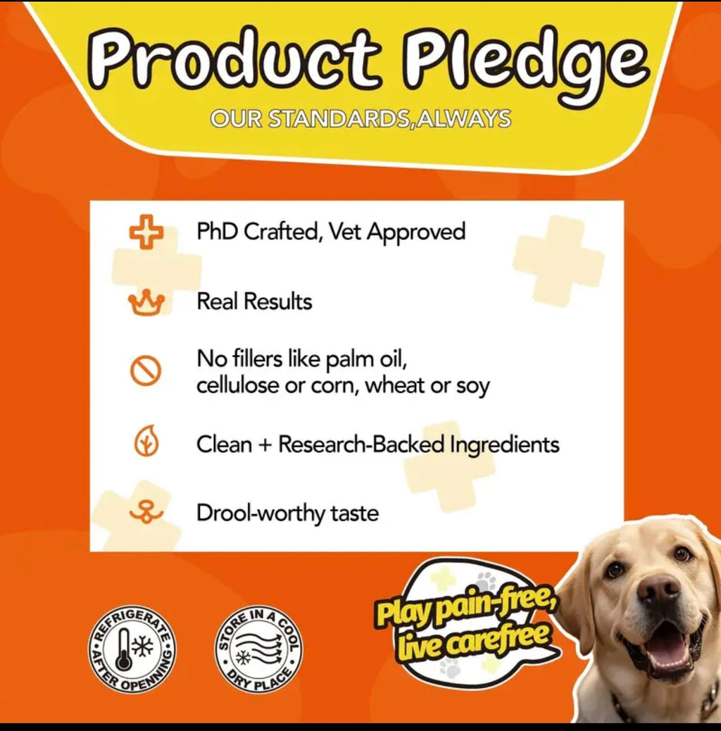 [90 Days Supply] Joint Care Chews for Dogs & Cats | Glucosamine, Chondroitin, Alaskan Salmon Oil | Joints, Mobility, Cartilage & Connective Health | 90 Soft Chews, Chicken Flavor