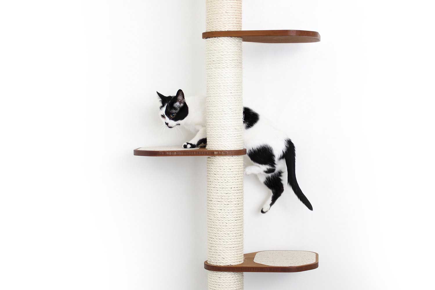 The Crow's Nest - A Wall Cat Scratcher with Hammock
