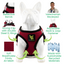 EcoBark Step In Dog Harness - XXXS to Small Breeds- Reflective Soft Mesh Harness for Teacup, Small Dogs and Puppies / Burgundy