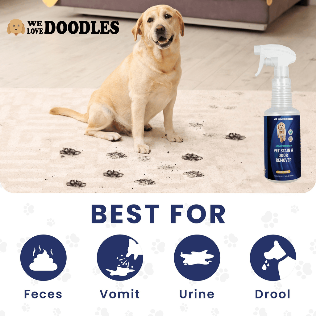 Pet Stain Remover