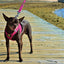 Pink Dog Leash by EcoBark - Padded Comfort Grip Leash - 4ft, 5ft, and 6ft Leash for Teacup, Small, and Medium Dogs