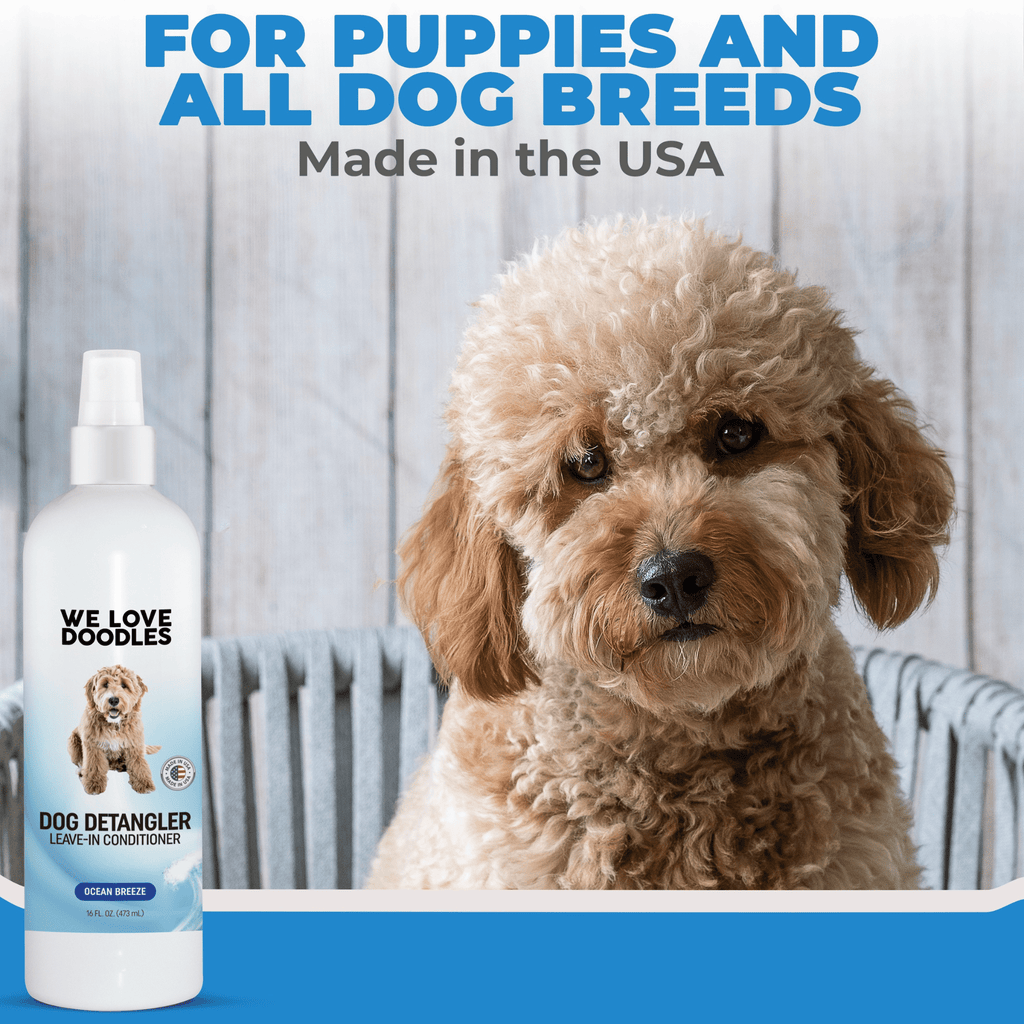 Detangler Variety Dog Bundle – Lavender, Mango & Ocean Breeze