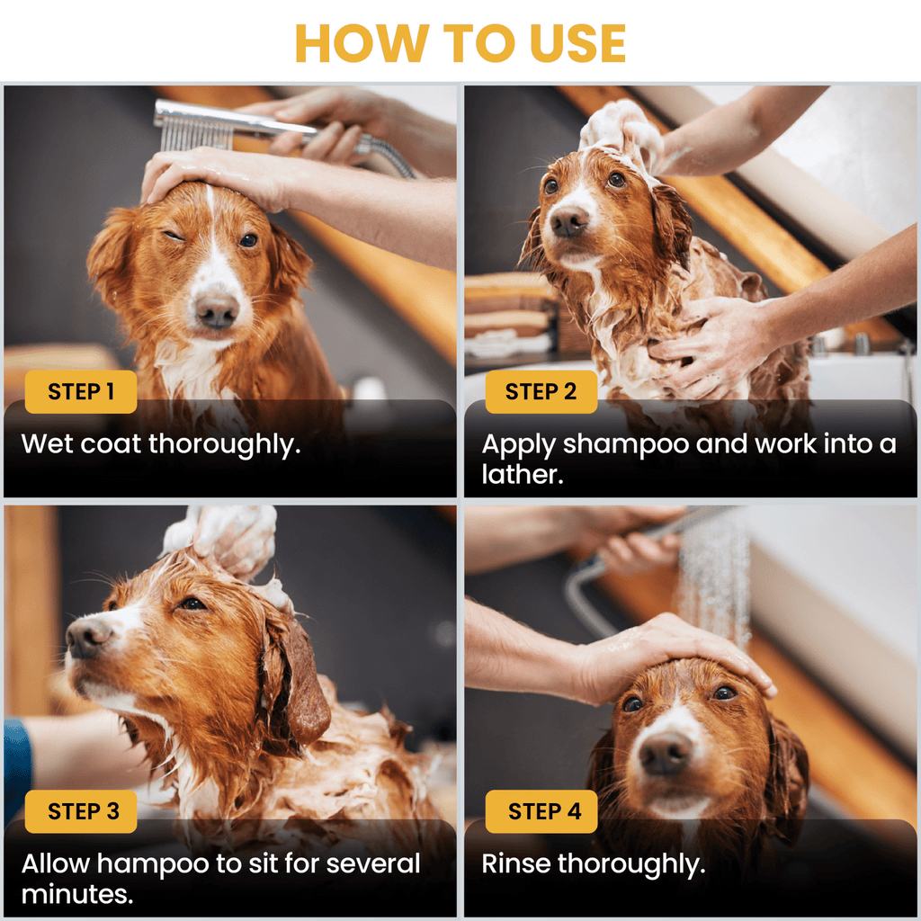 Puppy Shampoo Mango Scent
