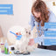 Slicker Brush for Dogs Small
