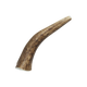 Natural Elk Antlers - Whole
