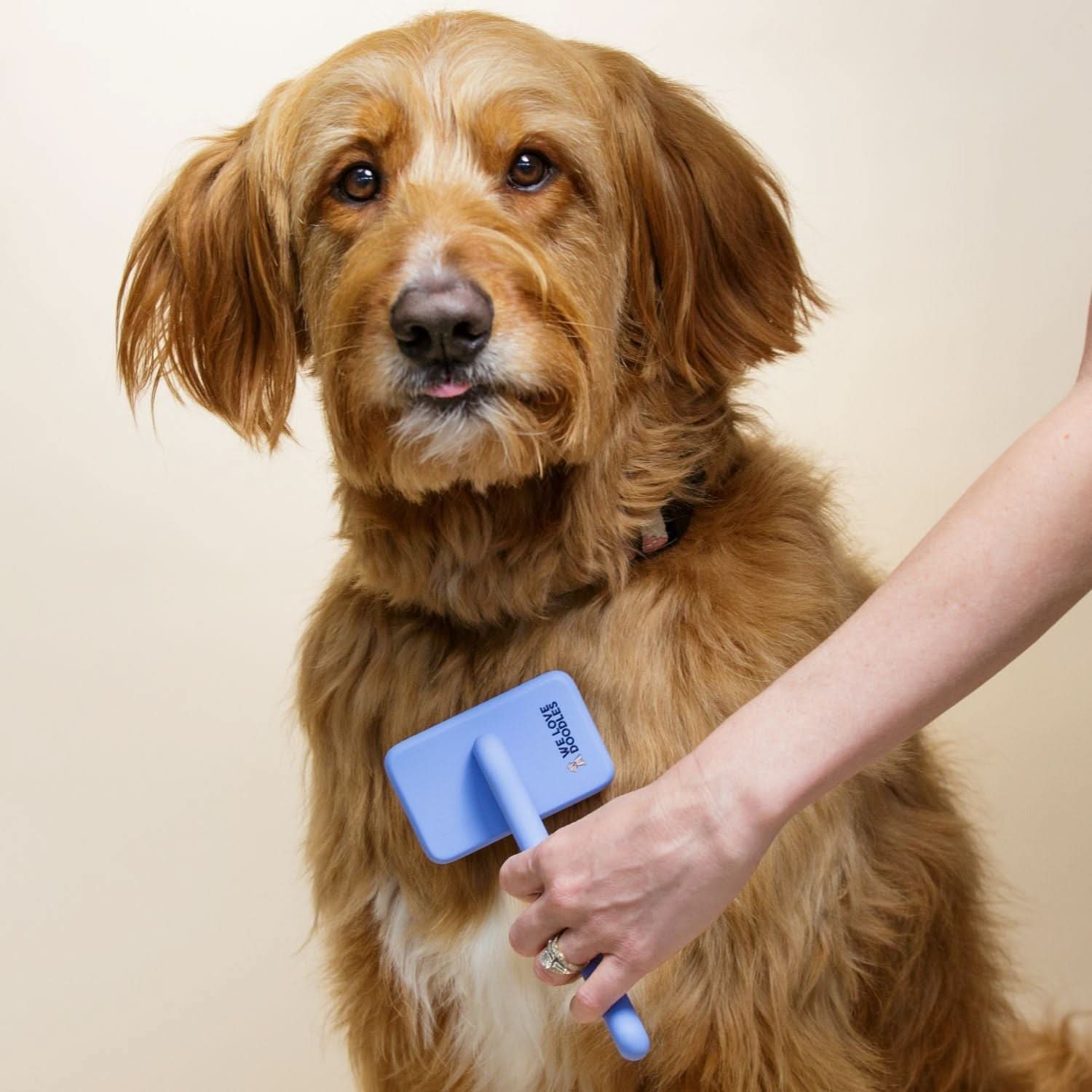 Slicker Brush for Dogs Small