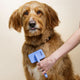 Slicker Brush for Dogs Small