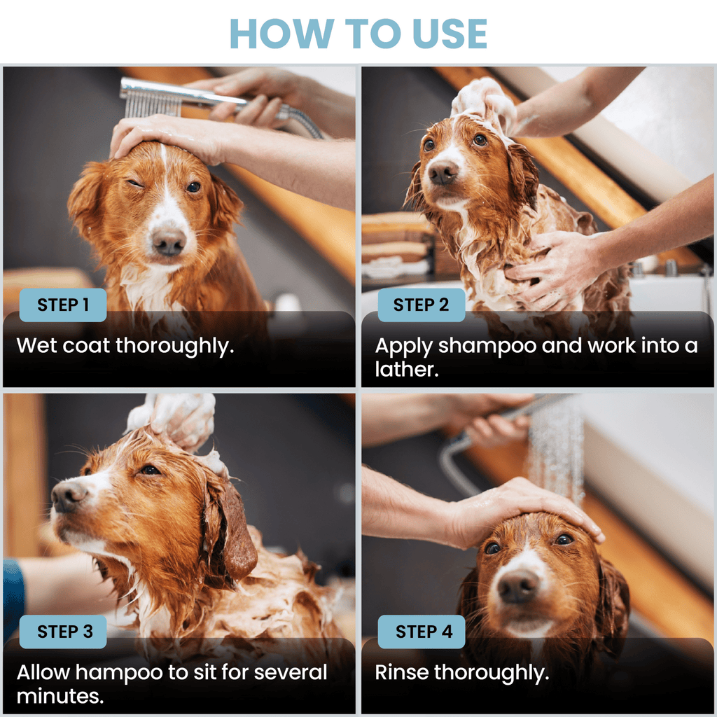 Puppy Shampoo Ocean Breeze