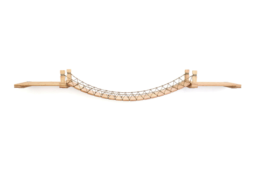 Cat Wall Bridge and Shelf Set