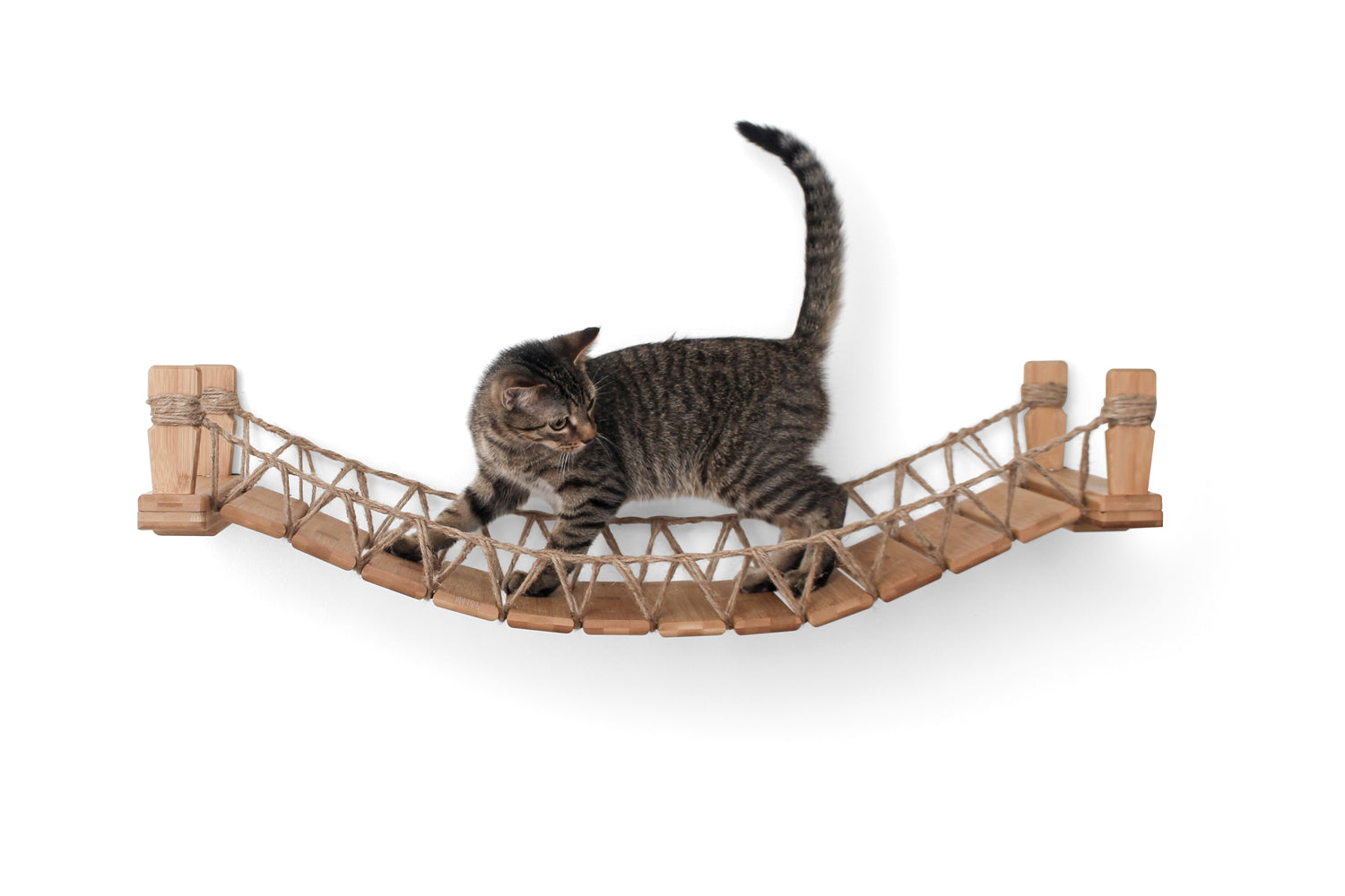 Cat Bridge for Wall
