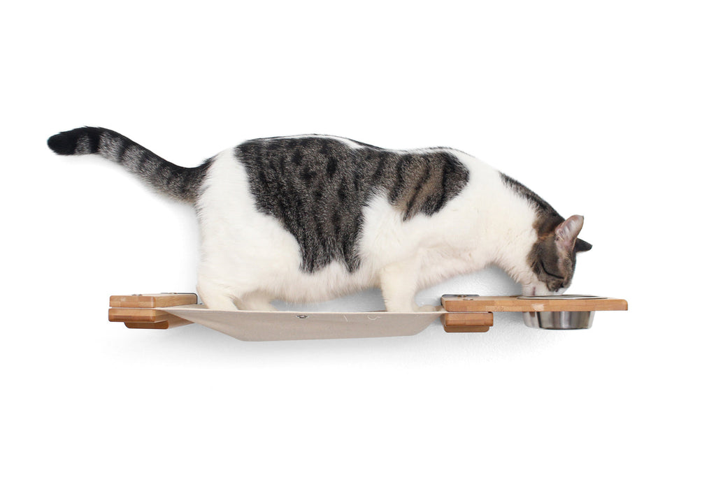 Dog Proof Cat Feeder - Wall-Mounted - Raised