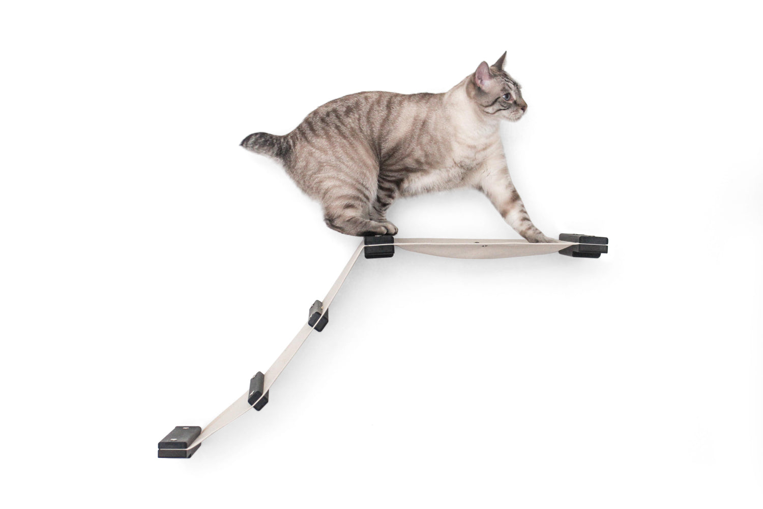 The Lift- Cat Hammock Bed