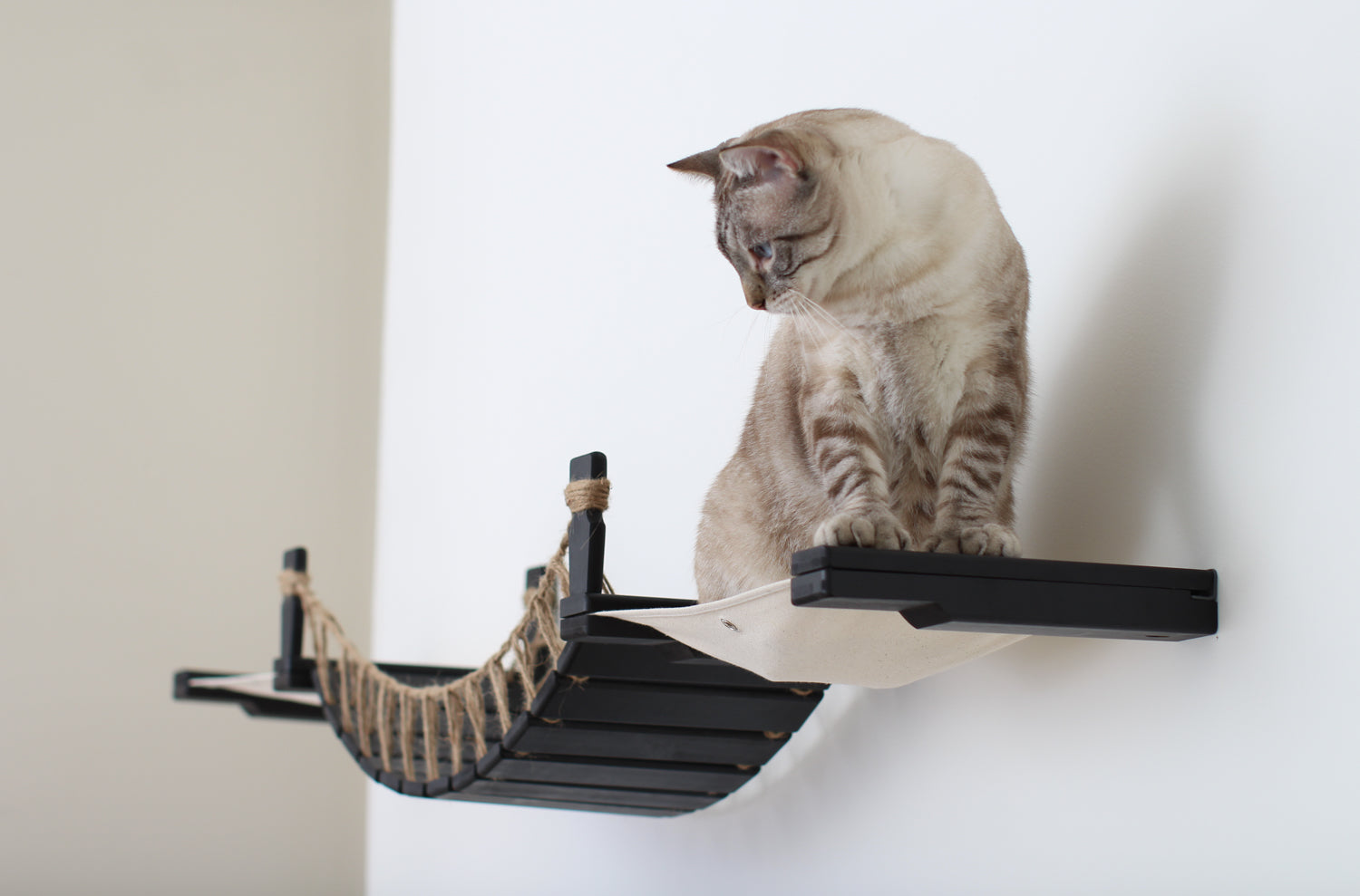 Double Cat Hammock and Climbing Bridge Combo
