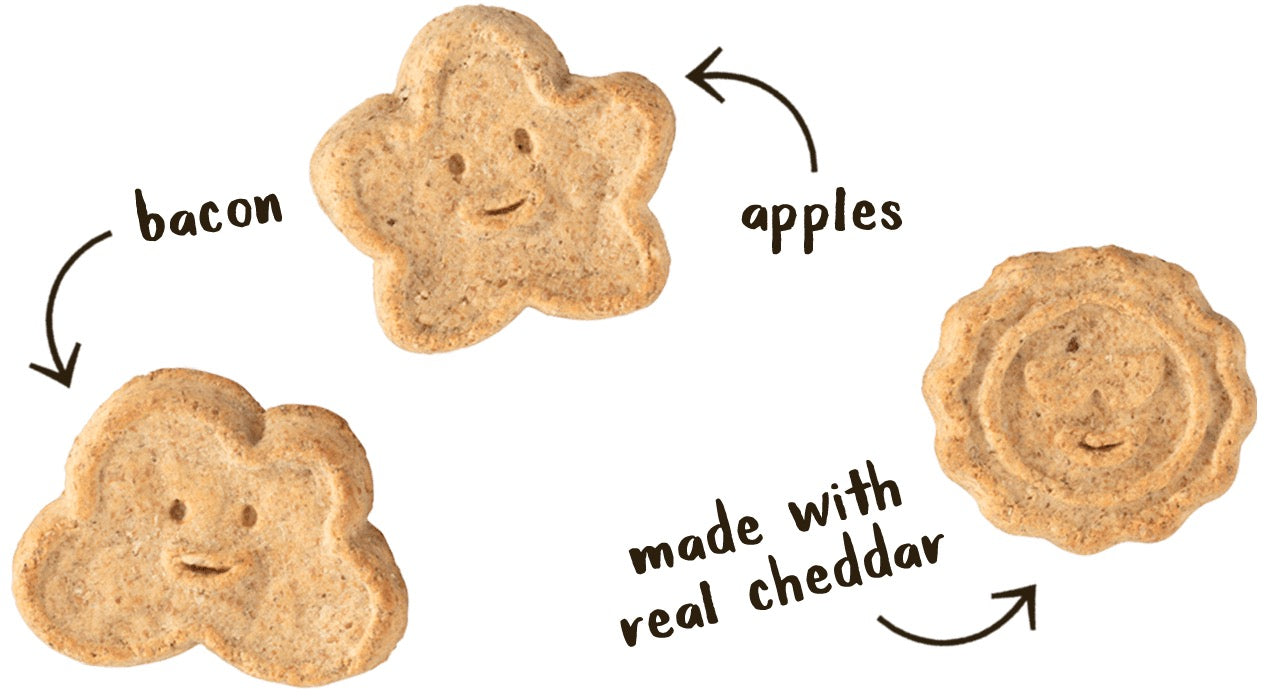 Wagmore Oats & Grains Bacon, Cheese & Apple Crunchy Biscuits Dog Treats (16oz)