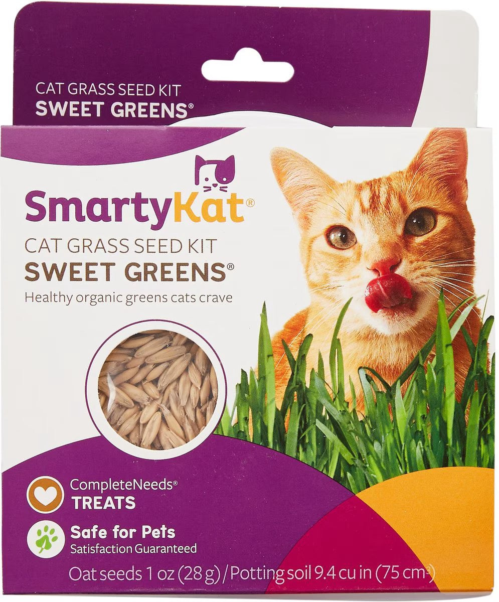 SmartyKat Sweet Greens Organic Oat Cat Grass Grow Kit